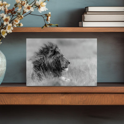 «Majestic Lion Profile», art mural contemporain
