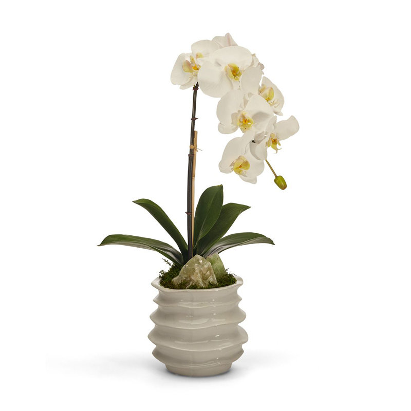 Centre de table orchidée dans un pot en céramique