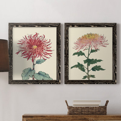Toile de chrysanthème