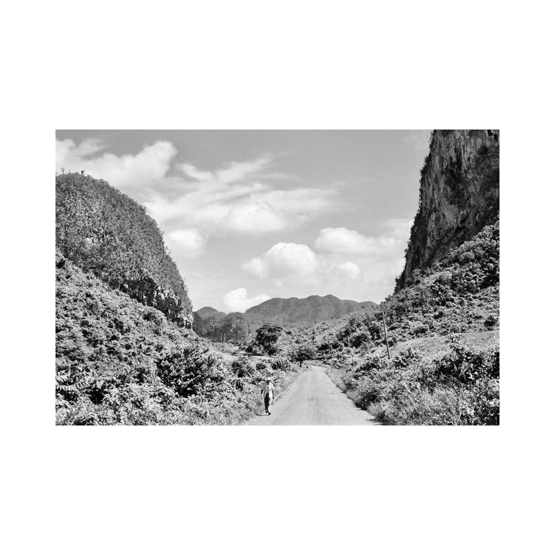 1950s Rural Road Outside Of Town Of Vinales In Pinar Del Rio Province Cuba by Vintage Images - Wrapped Canvas Gallery-Wrapped Canvas Giclée