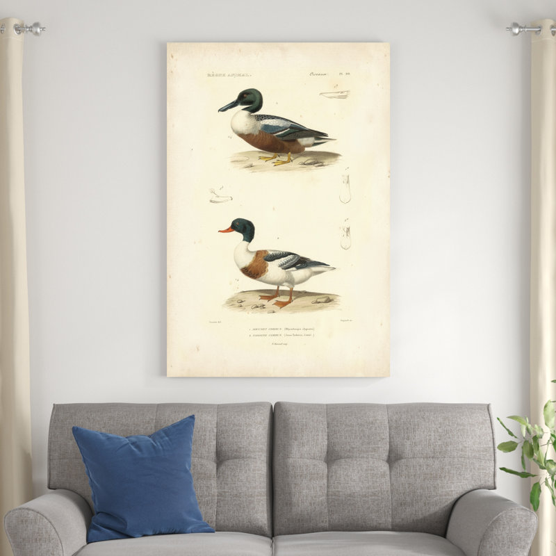 Étude de canard antique II, H 48 po x l 32 po x P 1,25 po