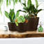 Pots à plantes d'intérieur avec drainage-124512127