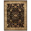 Dharma Hand Knotted Oriental Area Rug