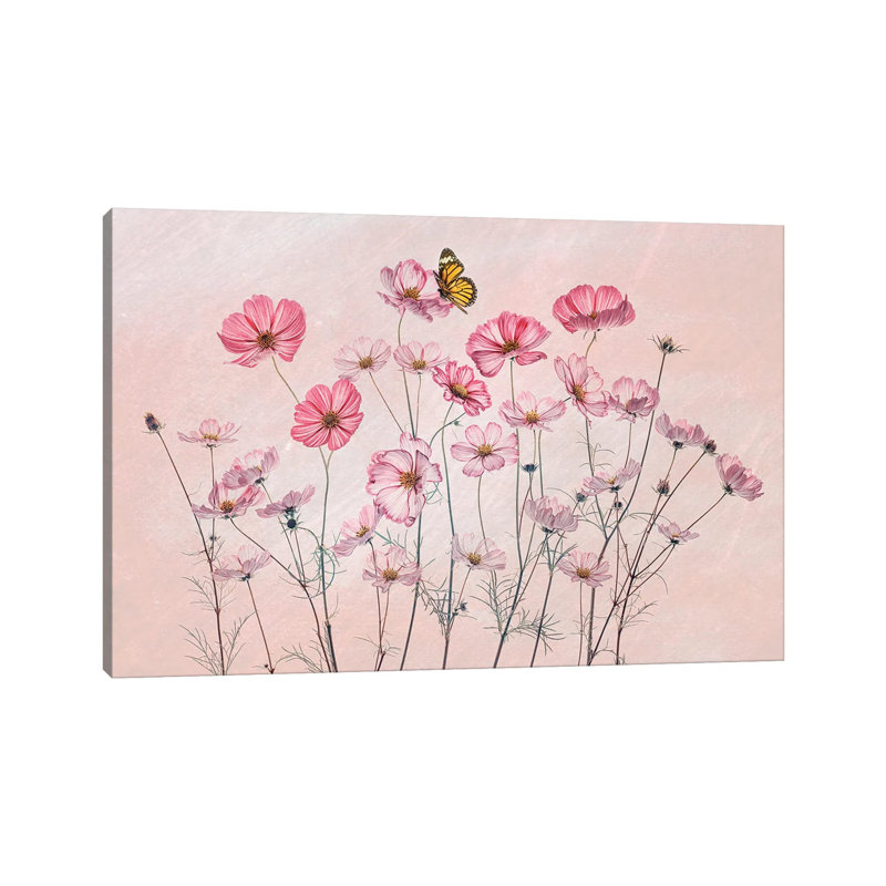 Cosmos And Butterfly by Lydia Jacobs - Wrapped Canvas Painting, 20.32 cm H x 30.48 cm W