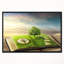 «Book of Life with Greenery», impression-26695076-34273689