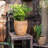 Petekar Pot Planter-443271997