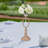 Iron Backdrops & Signs-98061768