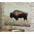 Brutus Wrapped Canvas Print