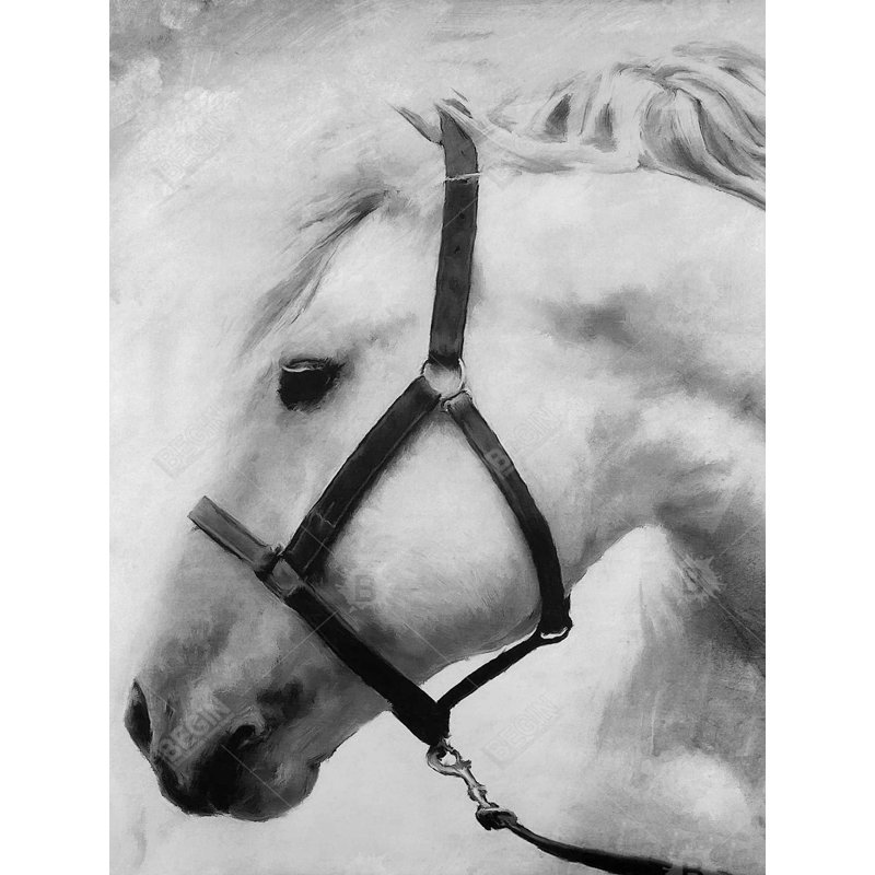 Darius the white horse Bath Mat with Non-Slip Backing - Quick Dry Memory Foam Bathroom Rug - Absorbent - Modern Plush Spa-Style - Machine Washable