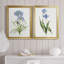 " Blue Lively Botanical I " 2 - Pieces-61455434-61455436