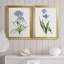 «Blue Lived Botanical I», ensemble de 2 reproductions d'art sur toile encadrées-61455434-61455436