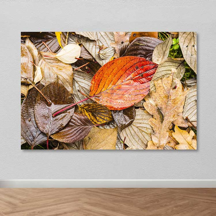 Peinture décorative sur toile