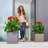 Lechuza Planter Canto Color Square 40 All-In-One-45837995