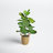 30 " H Faux Fiddle Leaf Fig Tree in Wicker/Rattan Basket
