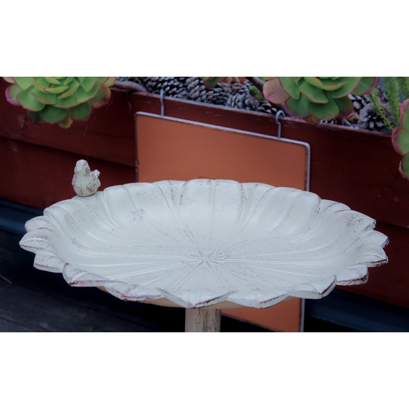 Bain d'oiseaux en fonte d'aluminium avec piédestal, Blanc cassé / blanc