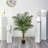 Artificial Palm Tree in Planter-1081300979