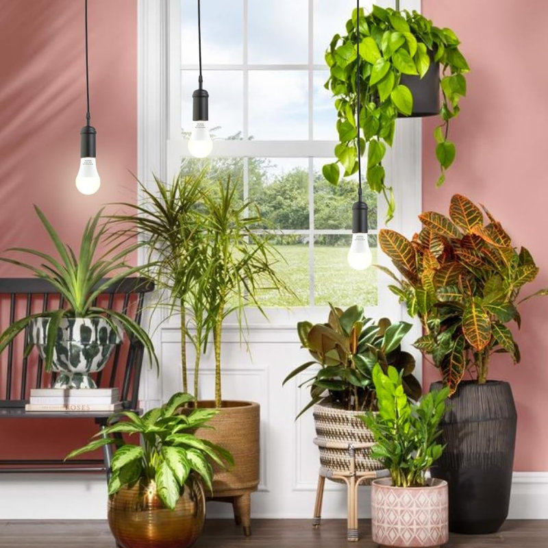 Ampoules de croissance pour lampes horticoles - 2, 2
