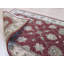 Tapis rouge / ivoire Agra