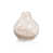 Beige / Transparent