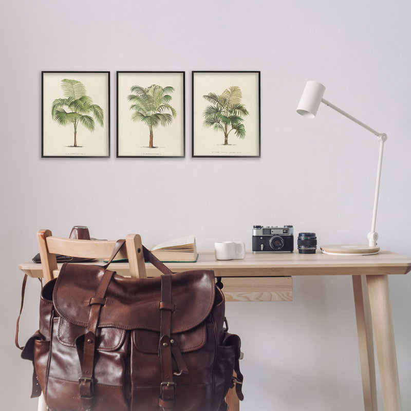 Les Palmiers Botanical Trio Black Framed Canvas Art Set