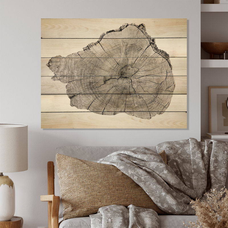 Coupe transversale d'un tronc d'arbre - impression sans cadre sur bois, H 16 po x l 32 po x P 1 po