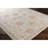 Conlan Oriental Indoor Rug-1323658399