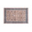 Oriental Indoor Rug-1091789722