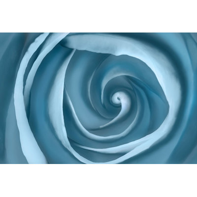 Swirling Petal Print by Lillian August