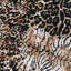 Couverture en fourrure Esca Luxury-120926248-120926250