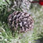 Couronne de Noël artificielle 24 po