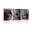 3 Piece Wrapped Canvas Wall Art-1476712337