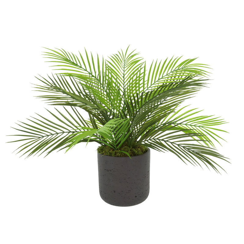 UV Rated Outdoor Palm in Fiberstone Pot