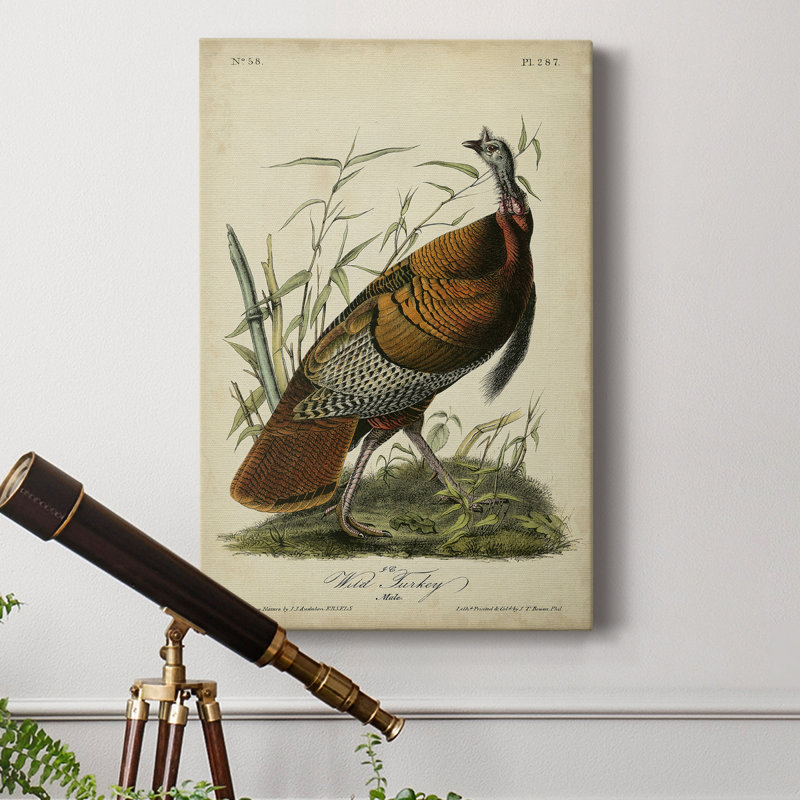- Toile tendue avec châssis de dinde sauvage de qualité supérieure Audubon - prête à être accrochée