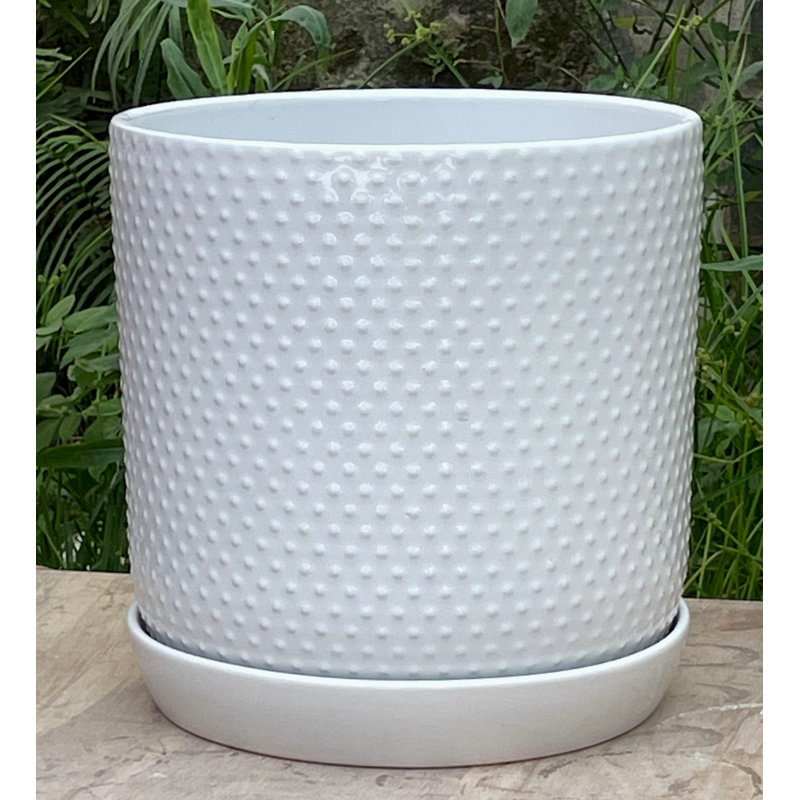 Dotted Cylinder Planter with Attached Saucer Medium Glazed Ceramic Pot (Case of 8) - Indoor Outdoor, Pastel Baby Pink