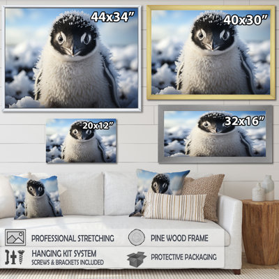 " Penguin Adorable Penguin I "