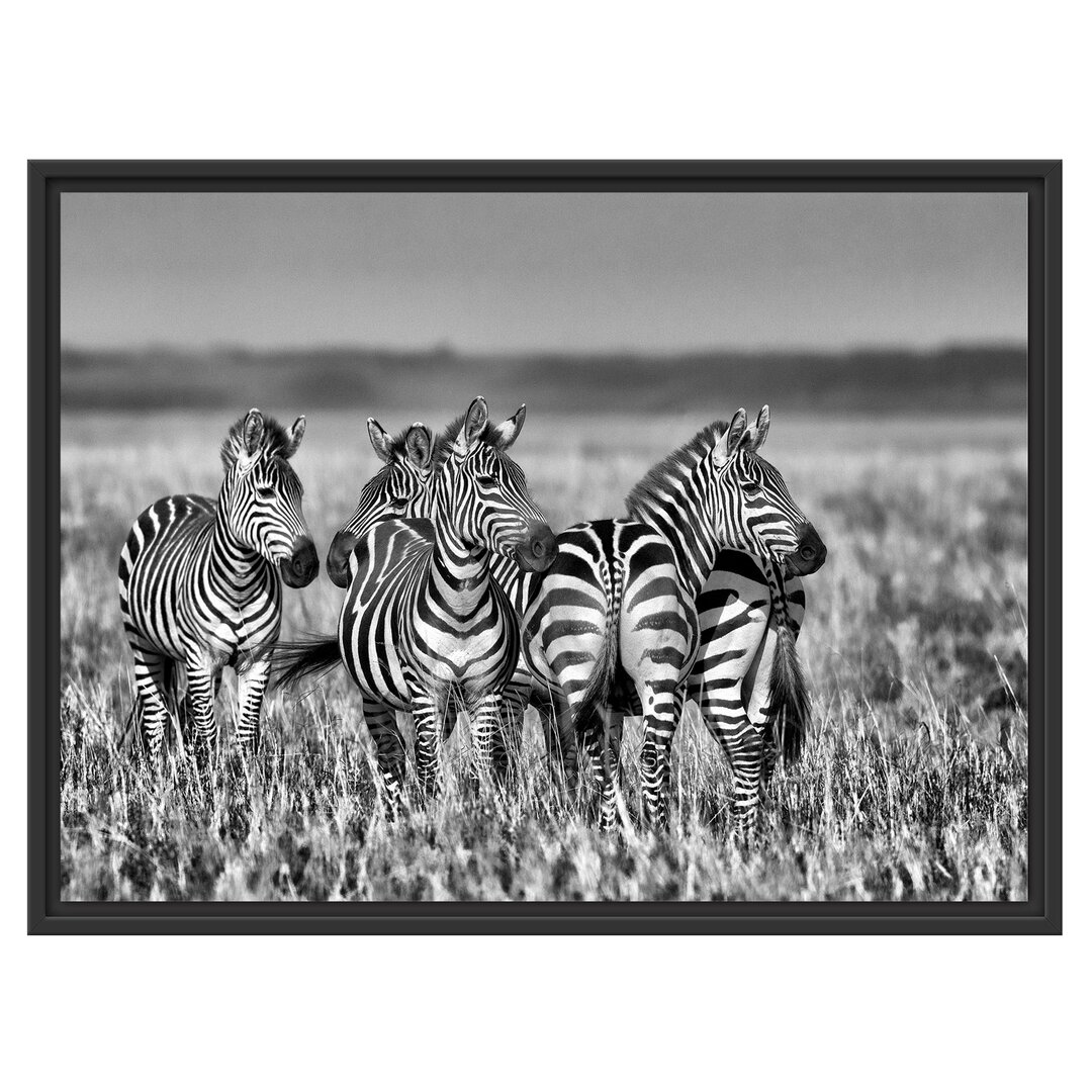 Gerahmtes Wandbild kleine Zebrahorde