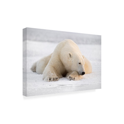 Bolog Marco Pozzi The White Giant Canvas Art