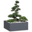 Planter 100X100Cm Steel-38147121-38147120