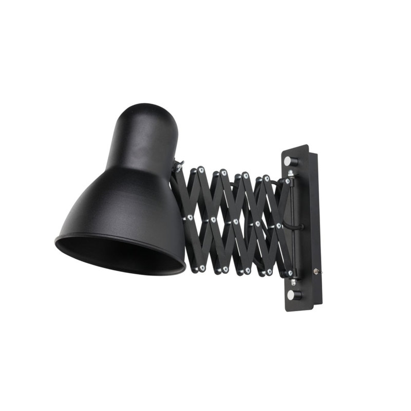 Braunstein Wall Sconce, Black