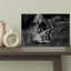 Roaring African Lions Contemporary Wall Art Print 1 Piece Wrapped Canvas Wall Art-440315820