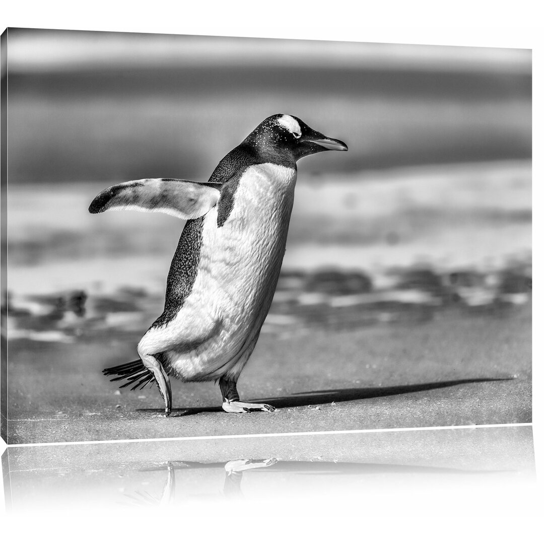 Leinwandbild Pinguin am Strand in Monochrom