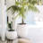 Dorlis Fiberstone Pot Planter-888476459-888476432