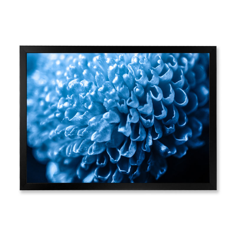 «Blue Chrysanthemum Flower Element», reproduction sur toile flottante, Cadre d'angle fermé noir, H 8 po x l 12 po x P 1 po