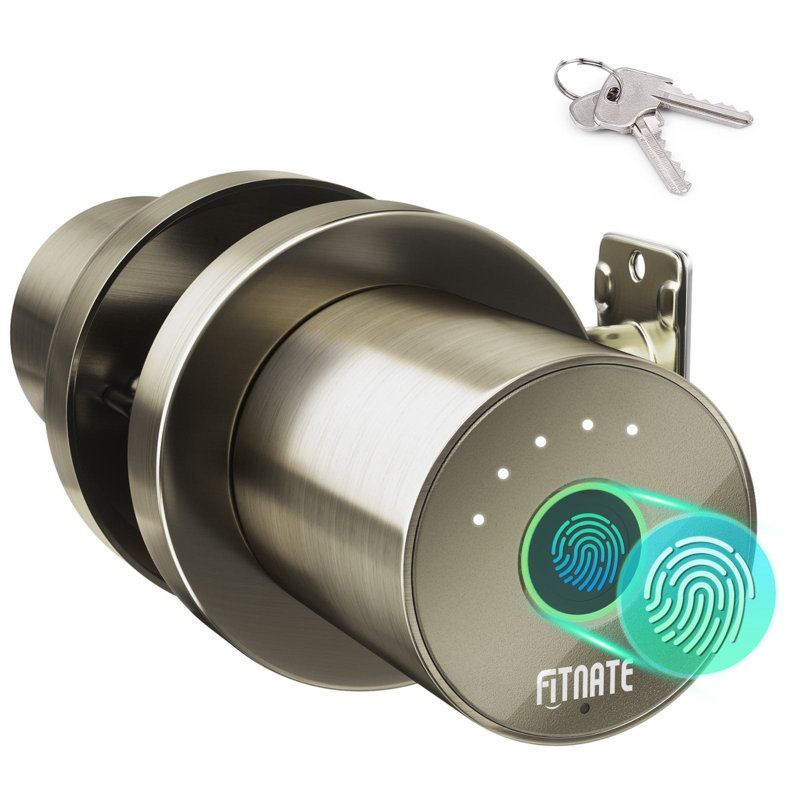 Serrure de porte biométrique intelligente
