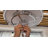 Enry 20'' Ceiling Fan with LED Lights