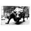 Wall Street Bull Black And White - Print on Canvas-56677260-50018445