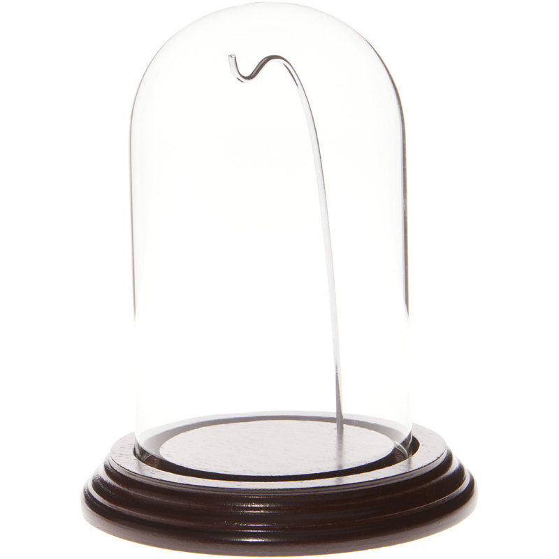 Cloche à dôme en verre 3 "x 5", Base en acajou / fil d'argent