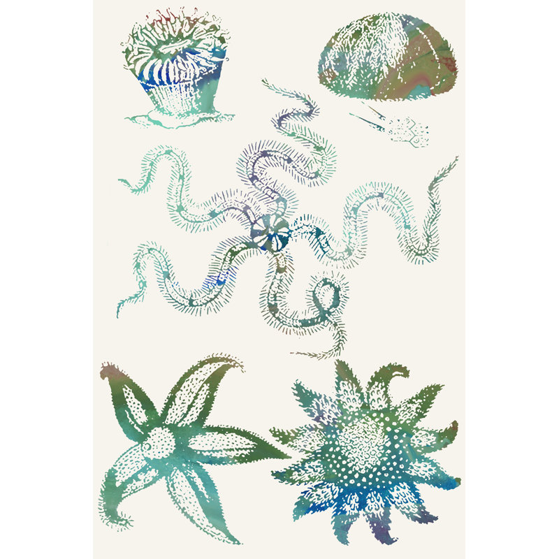 Aquatic Assemblage VII by Sharon Chandler - Painting on Canvas, 46cm H x 30cm W, Black Floater Framed