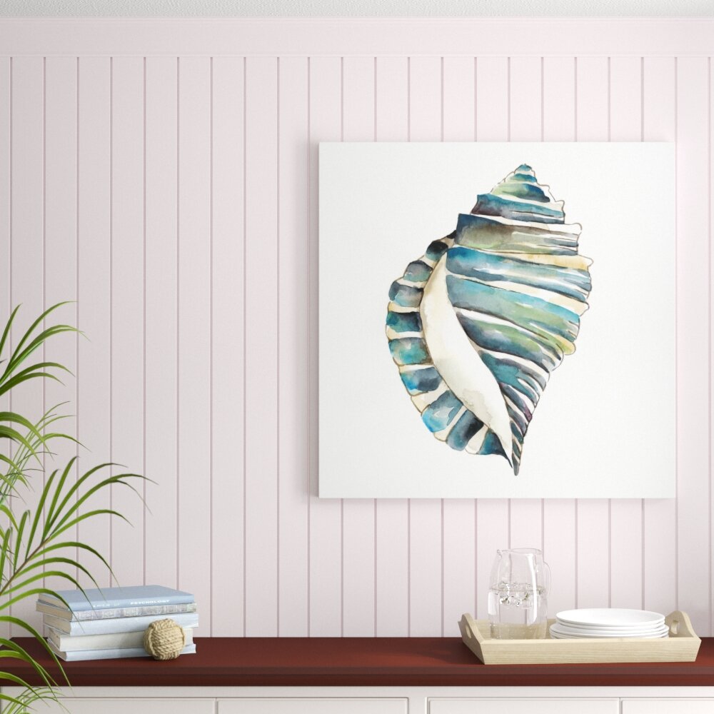 Leinwandbild Aquarelle Shells I von Chariklia Zarris