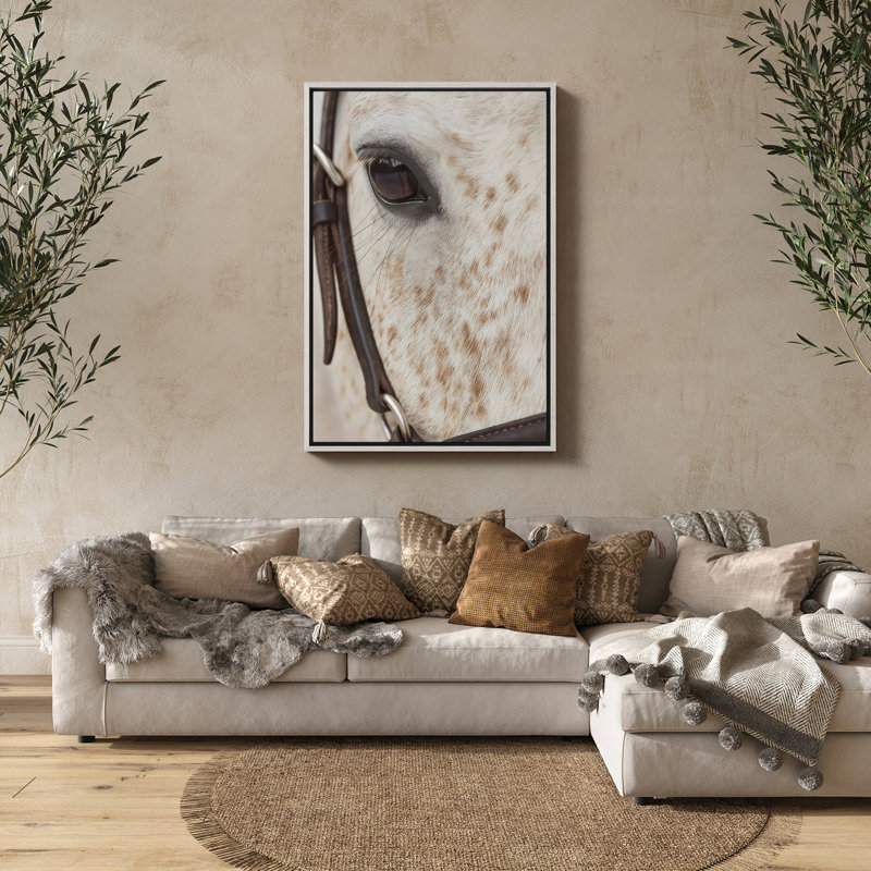 Gros plan, œil de cheval avec bride, art mural encadré, H 24 po x l 16 po, Blanc